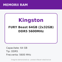 Kingston FURY Beast 64GB (2x32GB) DDR5 5600MHz